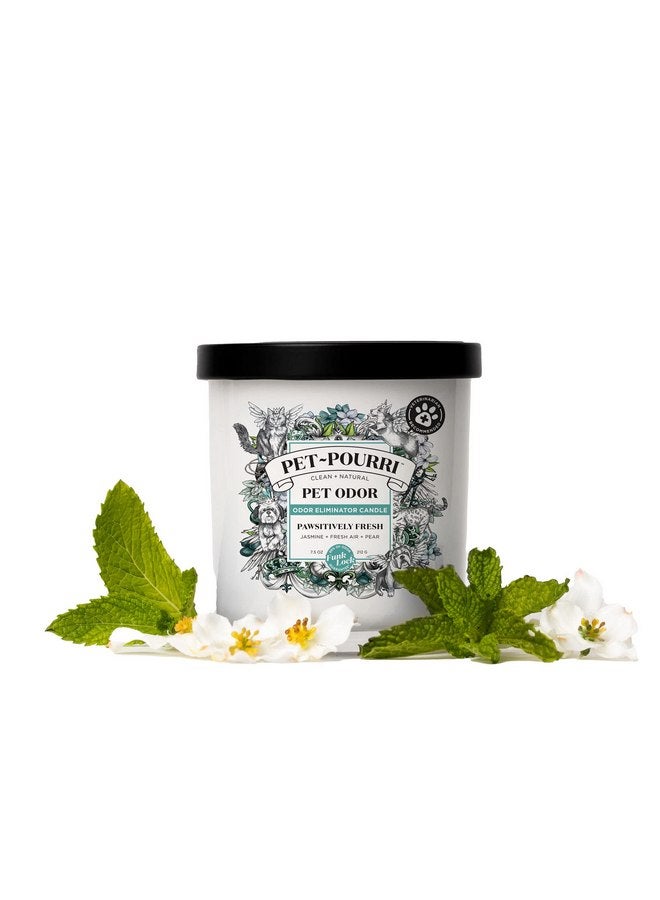 بوو - بوري شمعة معطرة للحيوانات الأليفة من Pet-Pourri، Pawsitively Fresh، 7.5 أونصة - الياسمين والهواء النقي والكمثرى (يوصى بها الأطباء البيطريون) - Image 4