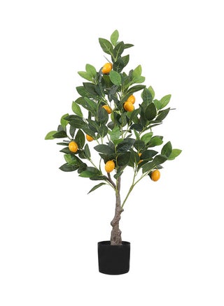 90cm lemon tree