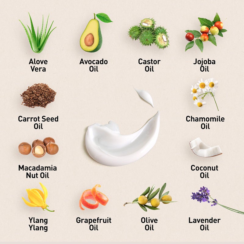 Just Nutritive Thicker Hair Conditioner | Best Conditioner for Thicker Hair | Leaves hair soft, silky with a fuller looking appearance that shines with lushness - Image 5