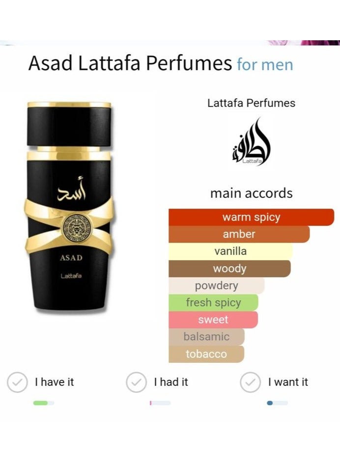 Lattafa LATTAFA ASAD PERFUME EDP 100ML - Image 2