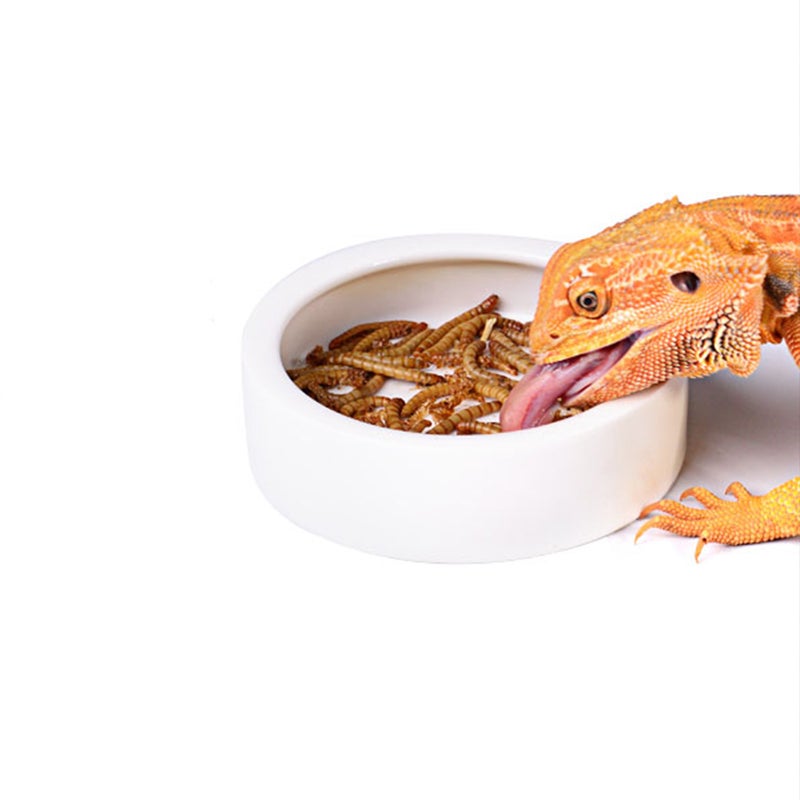 Crawler Crawling Pet Anti-escape Ceramics Food Basin Shrimp Food Round Dishes Small Fish Feeding Bowl Ornamental Supplies(9.5*9.5*3cm) - Image 2