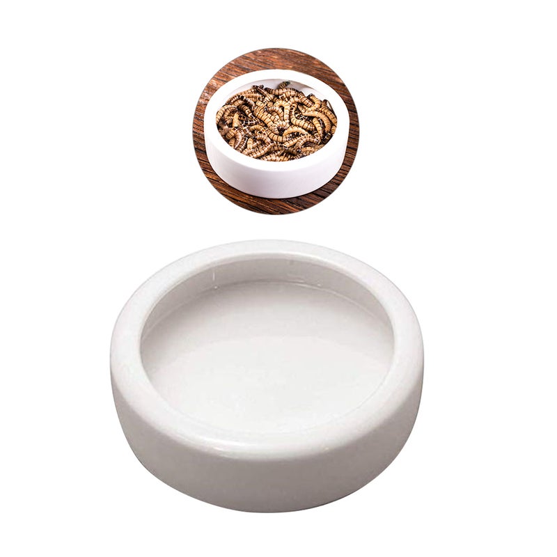 Crawler Crawling Pet Anti-escape Ceramics Food Basin Shrimp Food Round Dishes Small Fish Feeding Bowl Ornamental Supplies(9.5*9.5*3cm) - Image 3