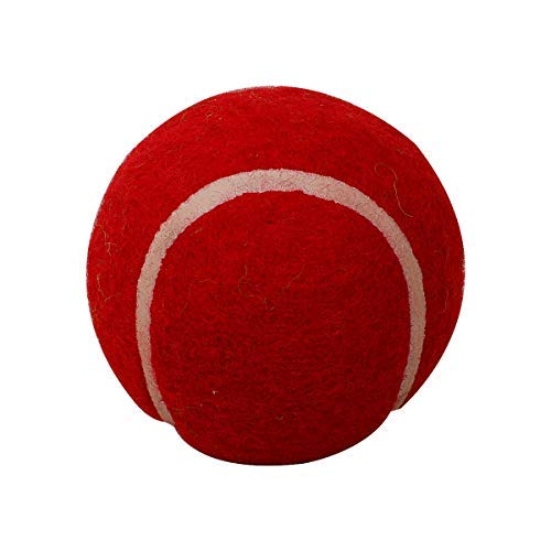 GM Men's Synthetic First Heavy Cricket Balls (Red) Standard Size - Image 5