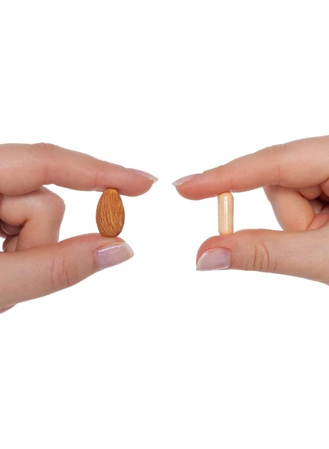 Seeking Health B Minus - Free of B12 & Folate - 100 Vegetarian Capsules - Image 3