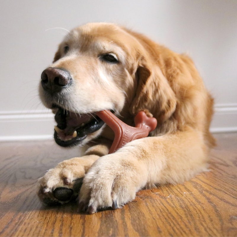 Nylabone Strong Chew Wishbone Dog Toy Made with Real Bacon, Durable Chew Toys for Aggressive Chewers, Long Lasting Dog Bone, Keeps Dogs Busy, Large Breeds - Up to 50 lbs - Image 5