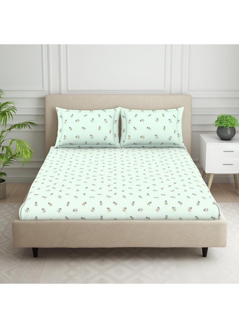 SPACES SPACES 100% Cotton Double Fitted Bedsheet with 2 Pillow Covers (Size 72 X 78 Inches) | 144 TC Fitted Sheet for Double Bed | Breathable Pure Cotton King Size Bedsheet | SS24 | Floral Design Light Blue 