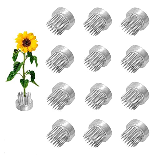 Eggone 12Pcs Flower Frog 23mm/0.9inch Mini Floral Frog Japanese Ikebana Kenzan Table Numbers Holder Cut Flower Floral Arranger Stainless Steel Pin for Small Ikebana Vase - Image 1