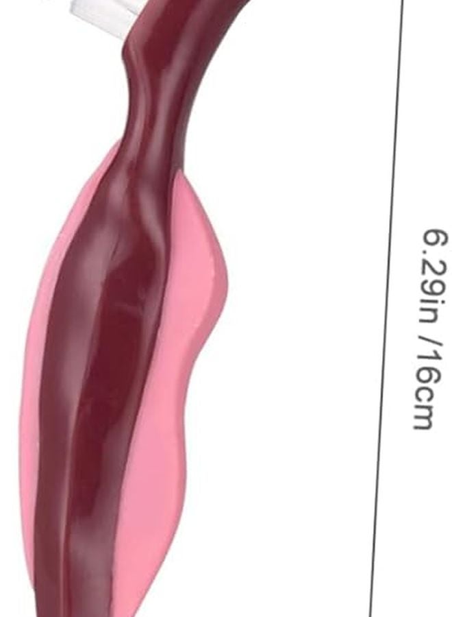 3Pcs Dual Head Denture Cleaning Brush Set For False Teeth Maintenance - Image 3