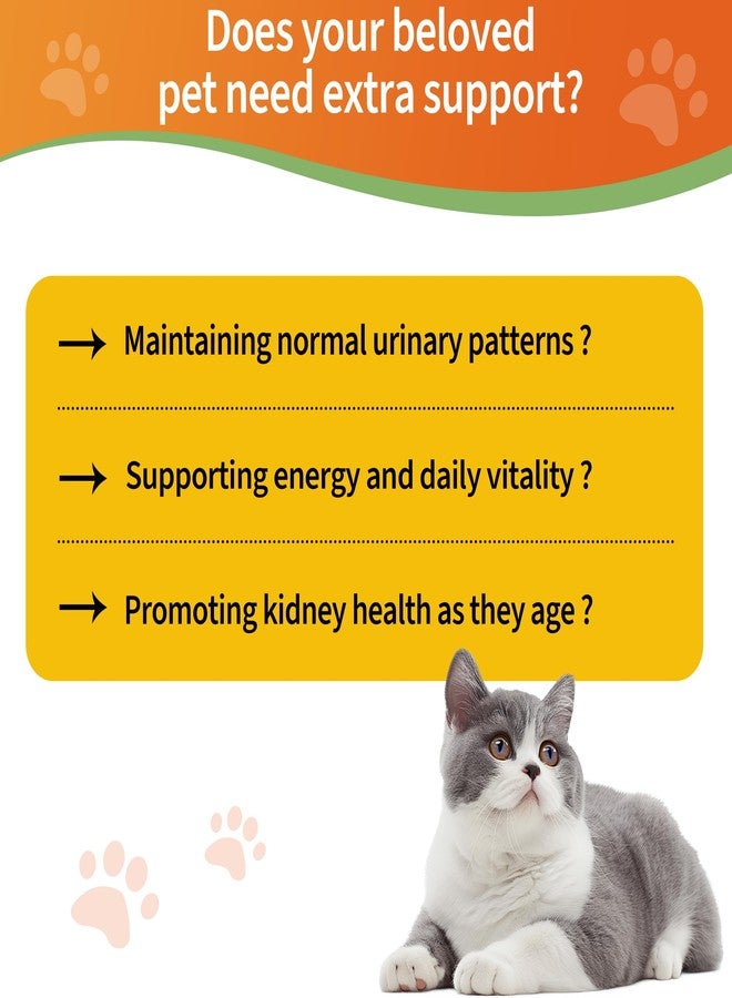 Jollyfit 6-in-1 Kidney Support for Cats & Dogs – Promotes Healthy Kidney Function, Energy Levels & Fluid Balance – Veterinarian Formulated Herbal Supplement with Vitamin B2 & B6 – 2 fl oz (59 ml) - Image 2