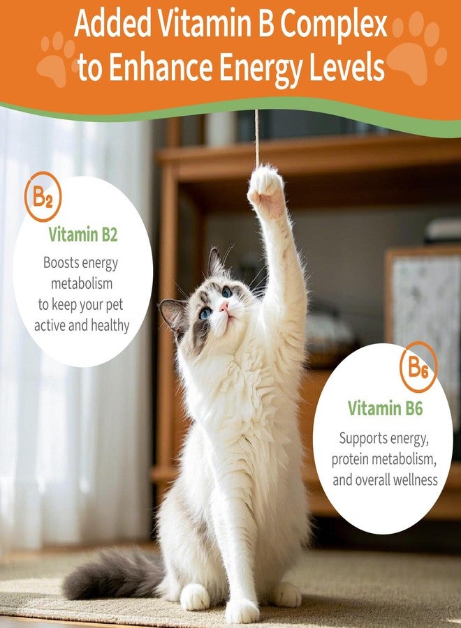 Jollyfit 6-in-1 Kidney Support for Cats & Dogs – Promotes Healthy Kidney Function, Energy Levels & Fluid Balance – Veterinarian Formulated Herbal Supplement with Vitamin B2 & B6 – 2 fl oz (59 ml) - Image 3