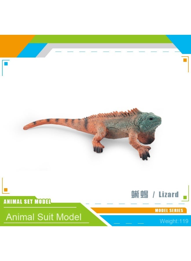 NIBEMINENT Realistic Amphibious Reptile Model - Unique Static Decorative Piece