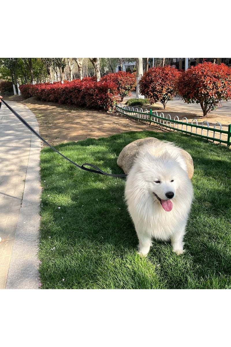 طوق كلب ثقيل مزدوج المقبض للكلاب المتوسطة والكبيرة، 25 مم × 1.5 م، للكلاب المتوسطة والكبيرة، أسود - Image 4