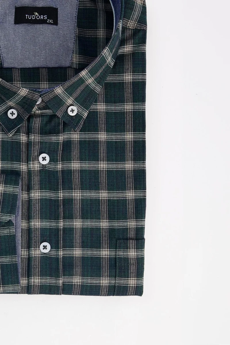 Tudors Men's Big Size Large Size Cotton Small Plaid Button-Down Collar Shirt