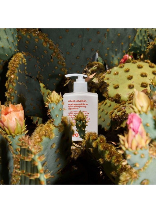 EVO Ritual Salvation Repairing Hair Conditioner - Treats Damaged & Brittle Hair, Helps Reduce Breakage & Protects Color, 300ml / 10.1 Fl Oz - Image 4