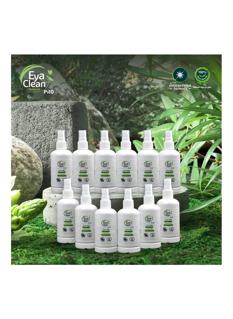 Eya Clean PRO - Eya Clean Pro 12 Pcs 100 ml Multipurpose Cleaner - Image 1