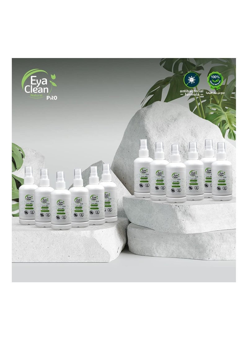 Eya Clean PRO - Eya Clean Pro 12 Pcs 100 ml Multipurpose Cleaner - Image 1
