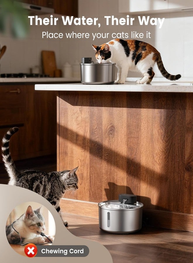 Oneisall Stainless Steel Cat Water Fountain,Quiet Water Fountain，Water Level Window,3.2L Pet Water Fountain Cat Drinking Fountain Indoor - Image 3