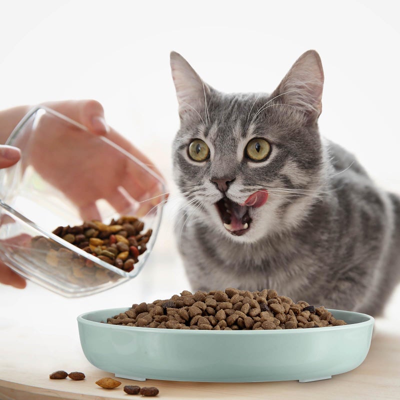 Nitial 2 Pcs Cat Slow Feeder Bowl Fish Pool Design Feeder Dish Fun Interactive Cat Food Bowl Healthy Eating Diet Bowls for Pet Puppy Dogs Dishwasher Safe(White, Green) - Image 4