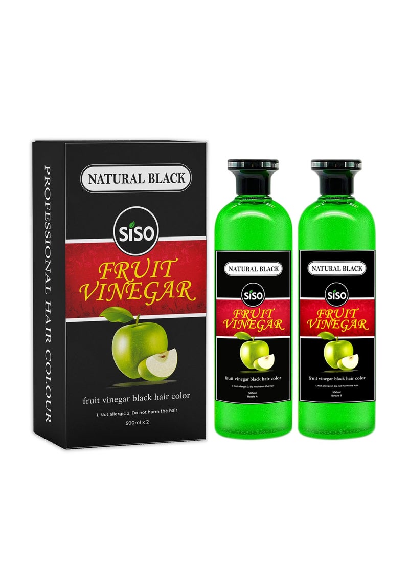 Siso Siso Fruit Vinegar Hair Color, Natural Black Color Dye for Hair Care, Natural Ammonia Free Color Dye (500ml x 2) | Made In India 