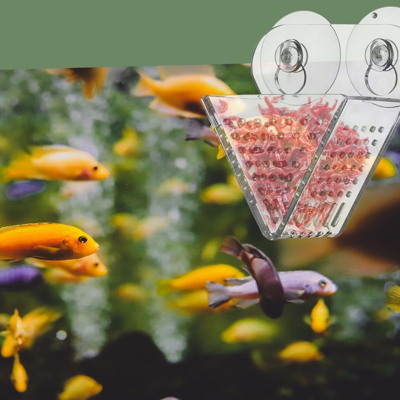 Acrylic Aquarium Feeder With Double Suction Cups High Transparency Blood Worm Container - Image 4
