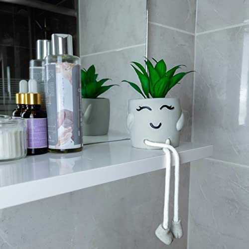 OLEEK Small Fake Plant Office Desk Decor - Desk Plants for Office Decorations for Work - Decorative Plants Decor - Funny Office Decor for Women - Fake Succulents Plants Artificial Home Decor Shelf - Image 3