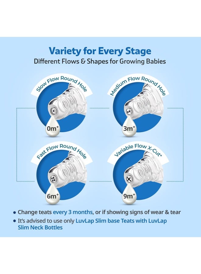 Luvlap Anti-Colic Slim/Regular Neck Essential Baby Plastic Feeding Bottle, 250Ml (Pack of 2), New Born/Infants/Toddler Upto 3 Years, Jungle Tales & Wild Flowers, BPA Free,Blue - Image 5