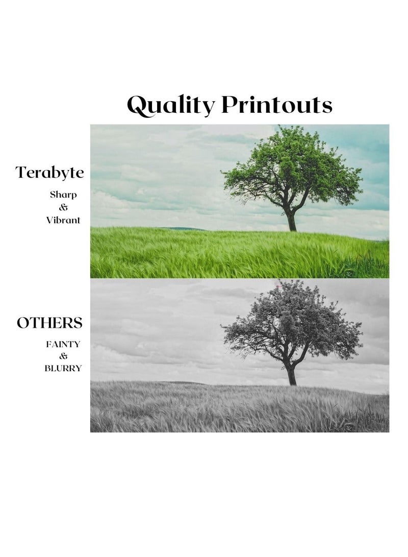 Terabyte XE6000/6010 COMPATIBLE TONER - Image 2