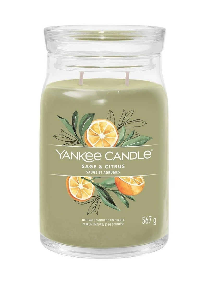 YANKEE CANDLE شمعة عطرية مميزة - 567 جرام | شمعة كبيرة من المريمية والحمضيات مع فتيلين مزدوجين | شمعة مصنوعة من خليط شمع الصويا تحترق لفترة طويلة | هدايا مثالية للنساء - Image 1