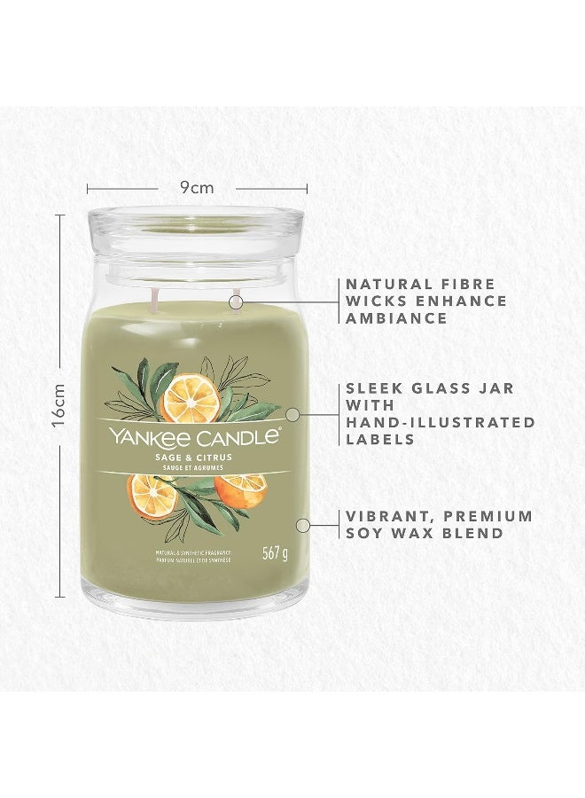 YANKEE CANDLE شمعة عطرية مميزة - 567 جرام | شمعة كبيرة من المريمية والحمضيات مع فتيلين مزدوجين | شمعة مصنوعة من خليط شمع الصويا تحترق لفترة طويلة | هدايا مثالية للنساء - Image 4