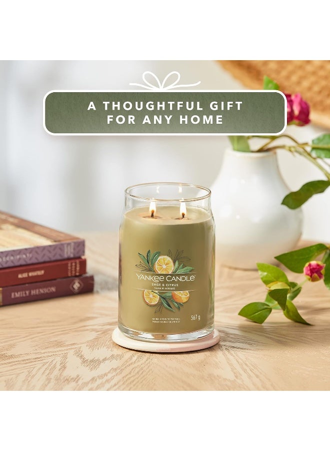 YANKEE CANDLE شمعة عطرية مميزة - 567 جرام | شمعة كبيرة من المريمية والحمضيات مع فتيلين مزدوجين | شمعة مصنوعة من خليط شمع الصويا تحترق لفترة طويلة | هدايا مثالية للنساء - Image 5