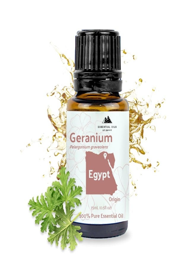 Nature Packaged Geranium Essential Oil - Direct from Egypt Nile Delta - Pure Essential Oils for Body, Skincare & Balance - Natural Aceite de Geranio - 100% Pure Therapeutic Grade (15ml) - Image 1