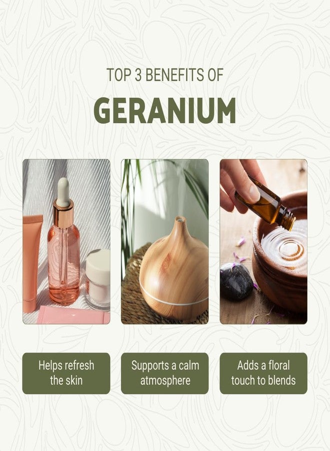 Nature Packaged Geranium Essential Oil - Direct from Egypt Nile Delta - Pure Essential Oils for Body, Skincare & Balance - Natural Aceite de Geranio - 100% Pure Therapeutic Grade (15ml) - Image 2