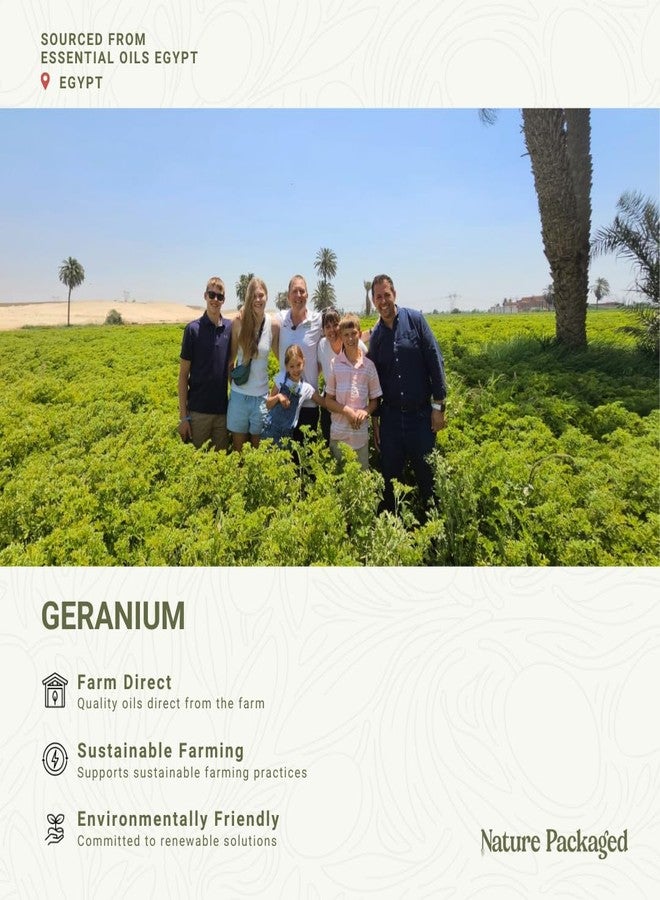 Nature Packaged Geranium Essential Oil - Direct from Egypt Nile Delta - Pure Essential Oils for Body, Skincare & Balance - Natural Aceite de Geranio - 100% Pure Therapeutic Grade (15ml) - Image 3