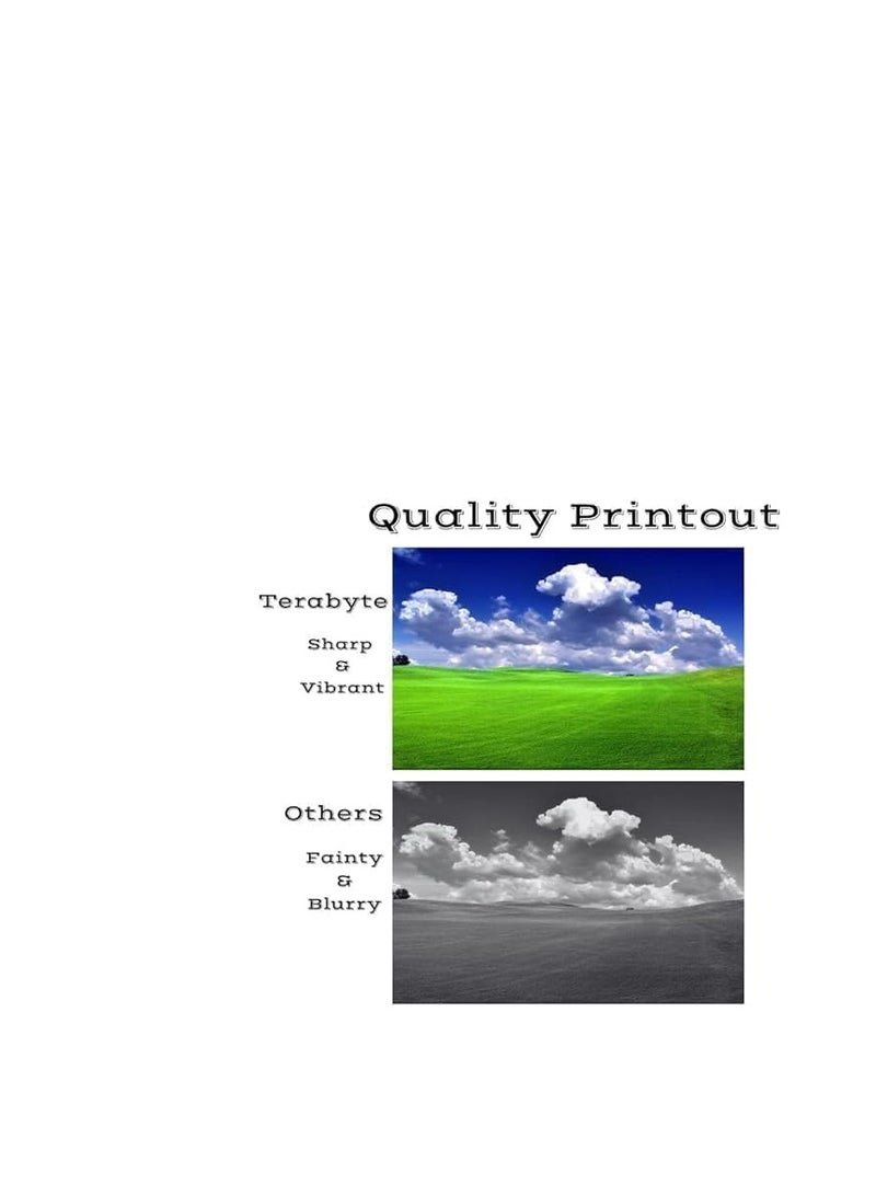 Terabyte C-EXV29 / NPG46 / GPR31  Compatible Toner Premium Quality Toner Cartridges for Canon IR Advance C5030 C5035 C5235 C5240 (Black Cyan Yellow Magent)4 PCS COMBO - Image 5