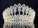Janefashions Floral Full Crown Clear White Austrian Rhinestone Crystal Tiara Pageant Queen Princess Headpiece Hair Combs Prom Large Gold T1406g - Image 2