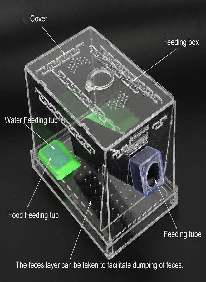 FASJ Cricket Keeper Tank Box, Cricket Care Kit Durable and Sturdy Equipped with Water/Food Feeding Tub for Office for Home(S) - Image 5