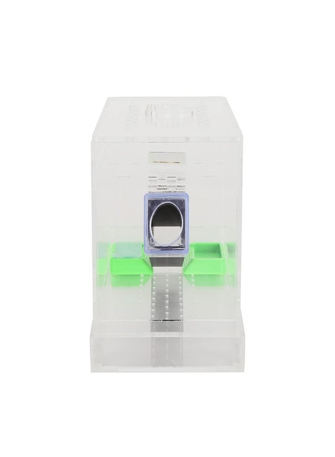 FASJ Cricket Keeper Tank Box, Cricket Care Kit Durable and Sturdy Equipped with Water/Food Feeding Tub for Office for Home(S) - Image 1