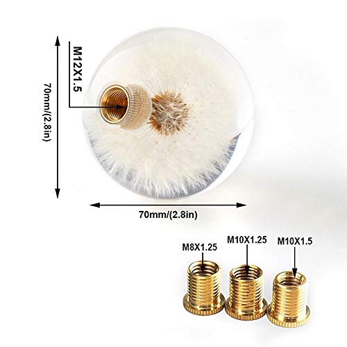 Sakali Gear Shift Knob Crystal Ball with Dandelions Flowers Car Shift Knobs Gear Shifter Knob with 3 Adapters fit for Most Manual Transmission or Automatic Transmission Without Lock Button - Image 2