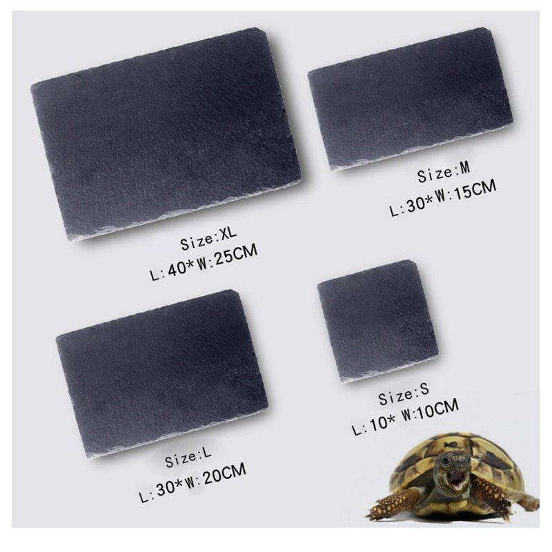 OMEM Turtle Reptile Rock Food Plate Grinding The Nail (XL) - Image 5