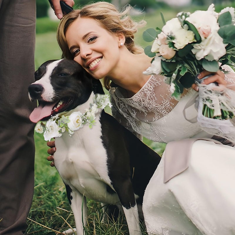 slcinwzdt Dog Wedding Flower Collar with Pearls Beaded Leash,Elegant Dog Flower Headband,Dogs Wedding Attire Wreath Bow,Pet Photo Prop (Large) - Image 2