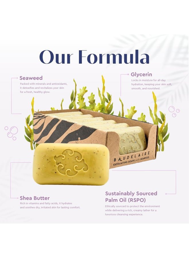Baudelaire EOSVAP Baudelaire Exfoliating Soap, Sea Loofa Bath Soap & Body Soap, Natural Soap, Triple Milled with 100% Natural Fragrance, 2% Seaweed and Sustainable Palm Oil - 5 oz (COMES IN 6 PIECE BOX!) - Image 4
