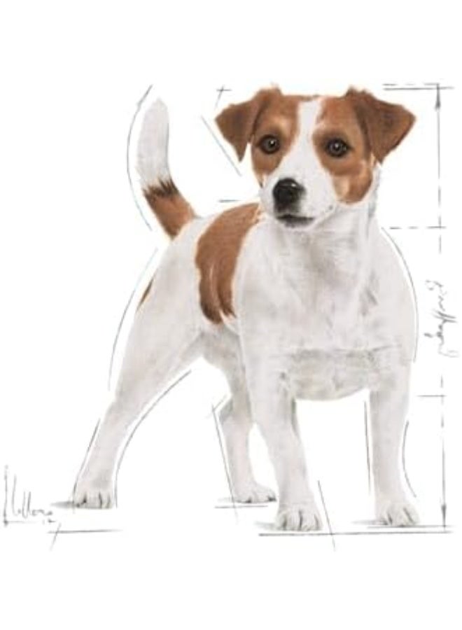 رويال كانين طعام جاف للكلاب الصغيرة من رويال كانين - 8 كجم - Image 4