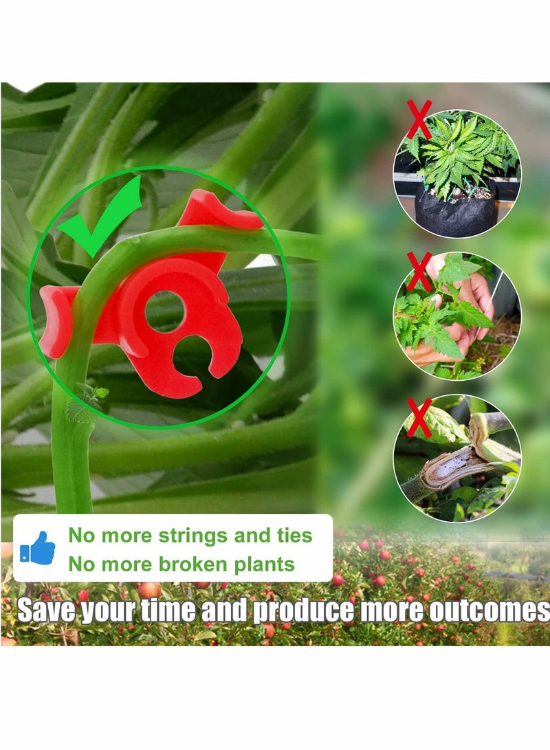 Y&D Plant Bender, 90° Low Stress Training Clip, LST Stem Support Clip for Tomato Stems, Branches, Bonsai Styling, Garden (30 Pcs) - Image 3