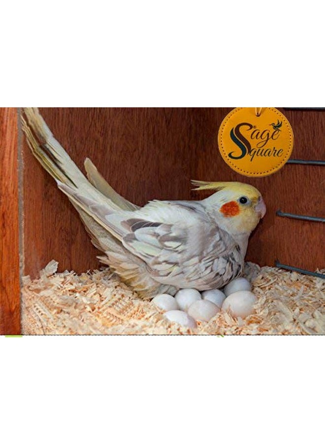 Sage Square Wood Shaving - Premium Natural Soft Bedding For Birds And Small Animals - Cozy Nesting Material For All Bird Species - Ideal For Hamsters, Gerbils, Rabbits & Guinea Pigs (150 Grm)  - Image 1
