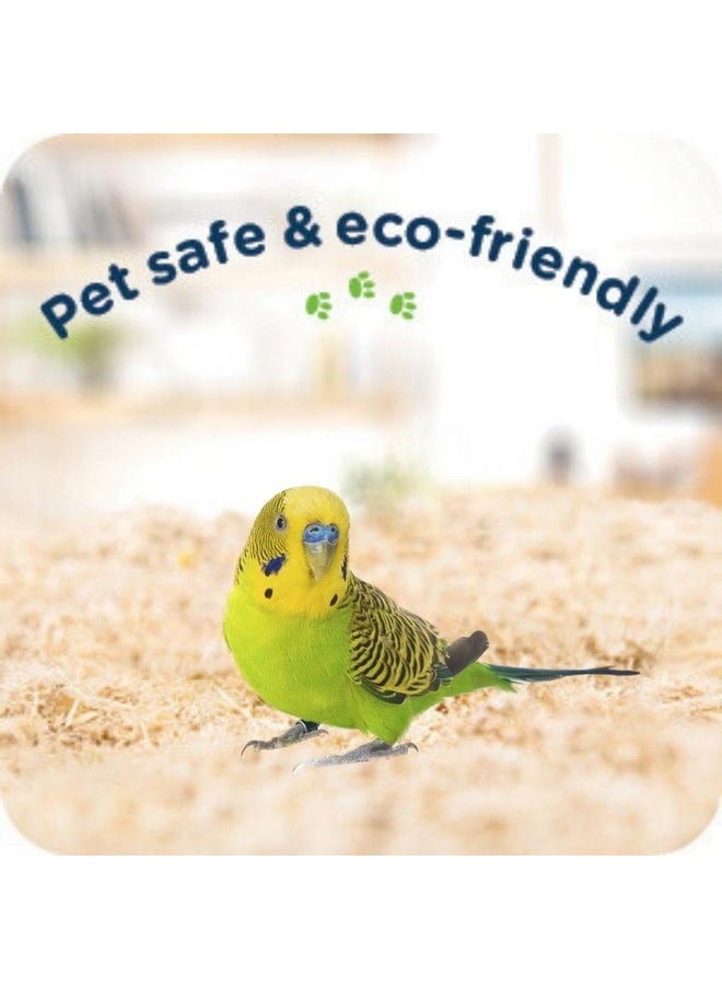 Sage Square Wood Shaving - Premium Natural Soft Bedding For Birds And Small Animals - Cozy Nesting Material For All Bird Species - Ideal For Hamsters, Gerbils, Rabbits & Guinea Pigs (150 Grm)  - Image 5