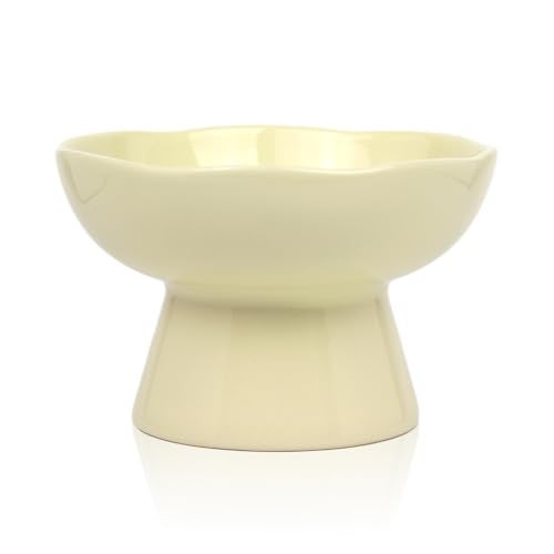 LOVINFURBABY 6.1" Wide 1.57" Deep Elevated Cat Bowls, Ceramic Water Bowls for Flat Faced Cats,Cat Feeder,Stress Free,Protect Cat’s Spine,Cream - Image 1