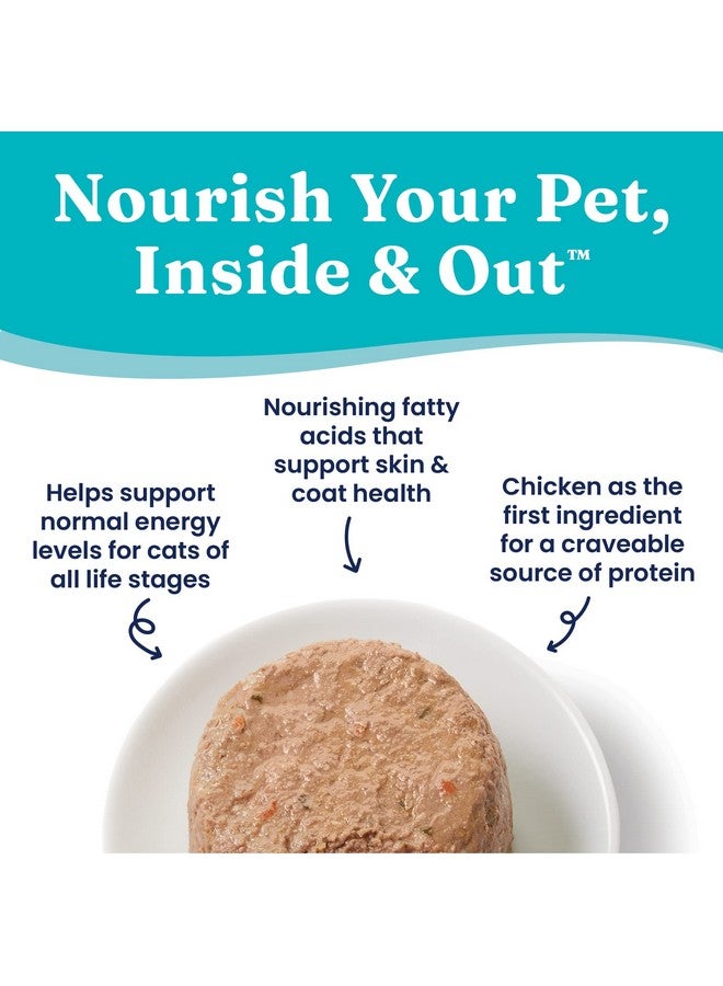 Solid Gold Tropical Blendz Wet Cat Food - Chicken Pate in Coconut Oil - Canned Cat Food, 24 Pack - Image 4