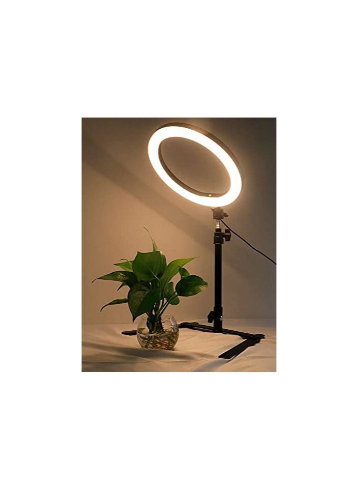 ضوء متعدد الالوان مع قاعدة مكتبية و حامل جوال للتصوير - Image 2