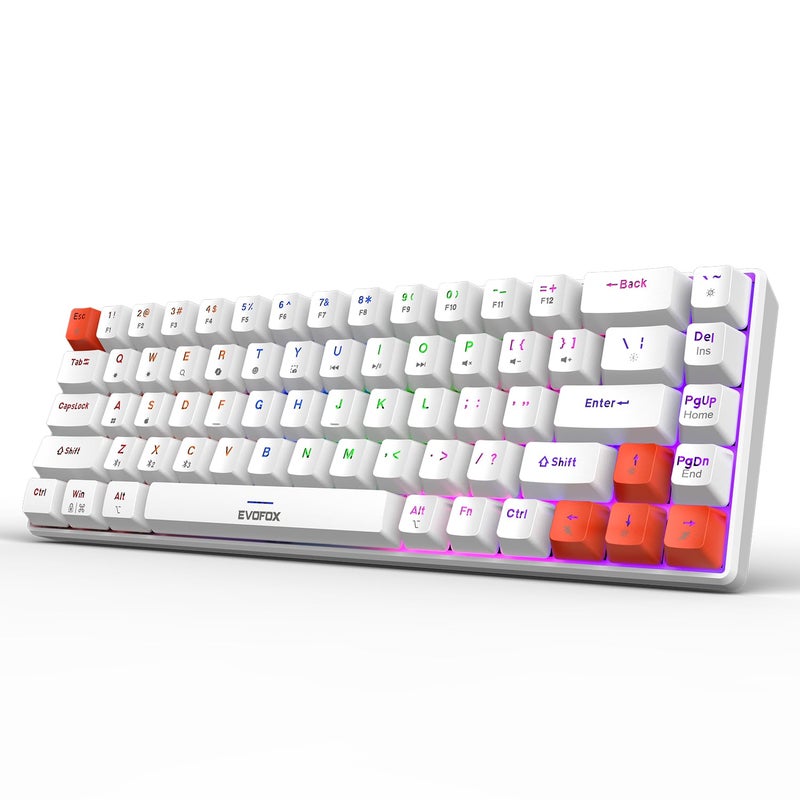 EvoFox Katana S Mini Wireless Mechanical Keyboard | Tri-Mode (3X BT, 2.4GHz & Wired) Connectivity | Hot-Swappable Red Switches | 68-Key Compact Layout | Rainbow Backlight | Rechargeable Battery - Image 1