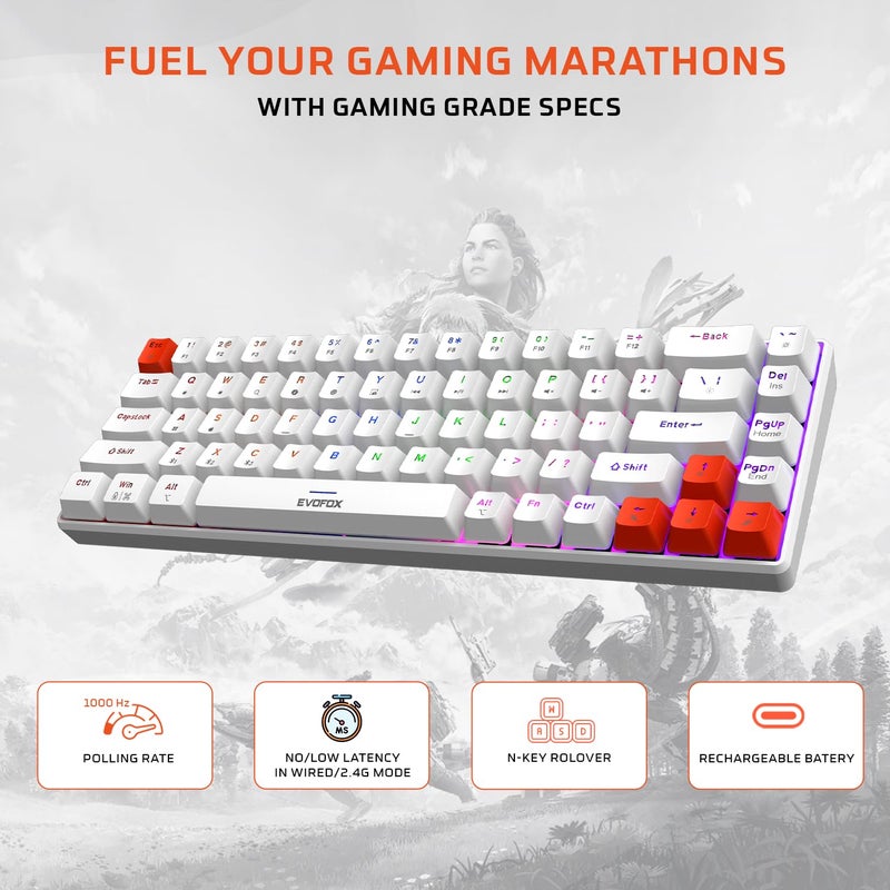 EvoFox Katana S Mini Wireless Mechanical Keyboard | Tri-Mode (3X BT, 2.4GHz & Wired) Connectivity | Hot-Swappable Red Switches | 68-Key Compact Layout | Rainbow Backlight | Rechargeable Battery - Image 4